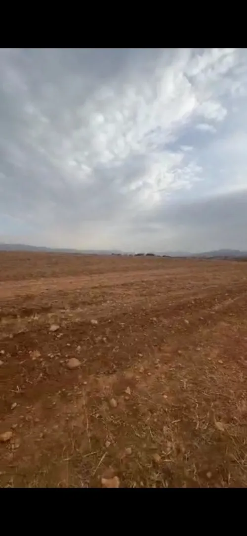 Vente Terrain Agricole Tlemcen Ouled mimoun