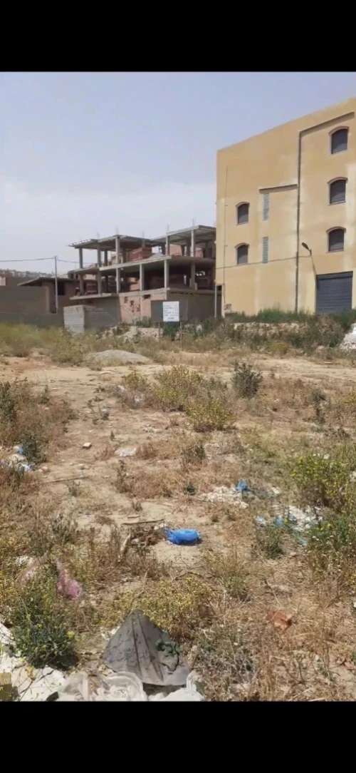 Vente Terrain Tlemcen Tlemcen