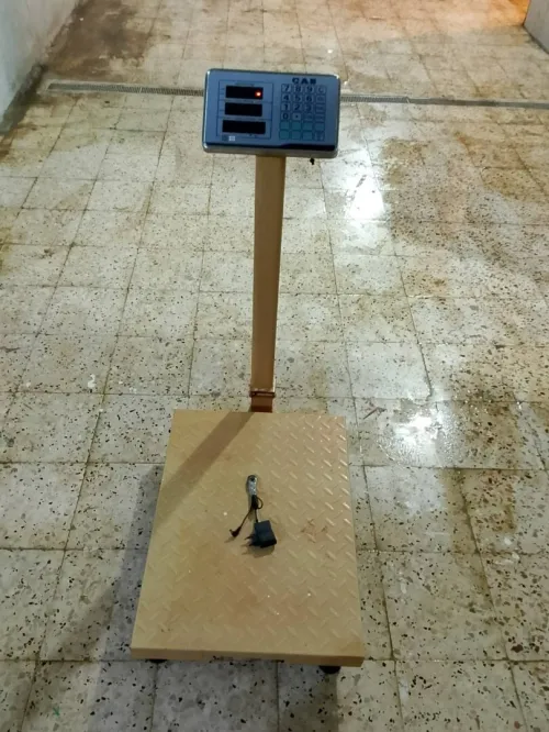 bascule 300kg