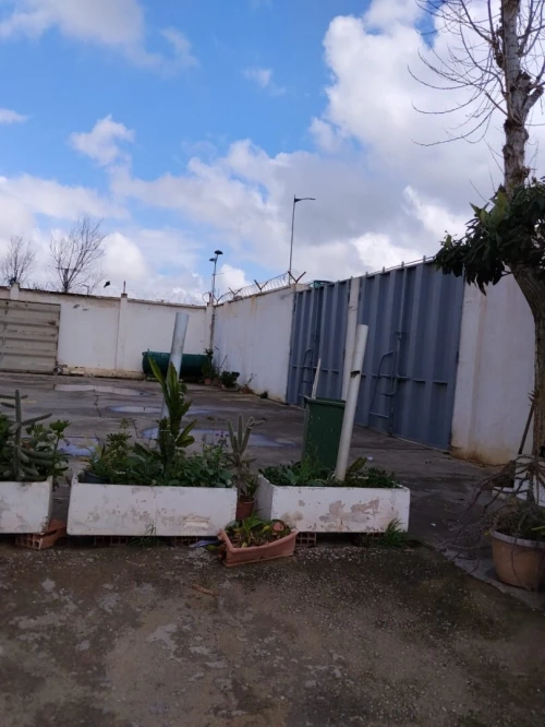 Vente Hangar - Usine Alger Birtouta