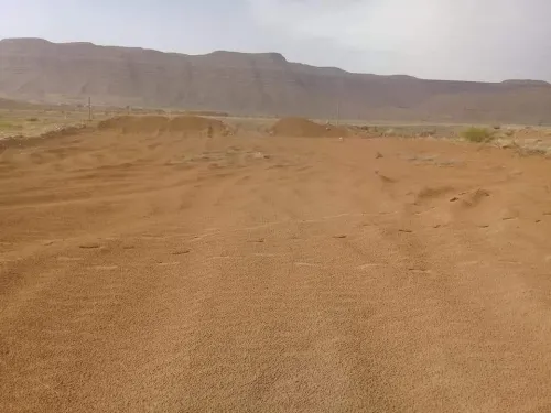 Vente Terrain Msila Bou saada