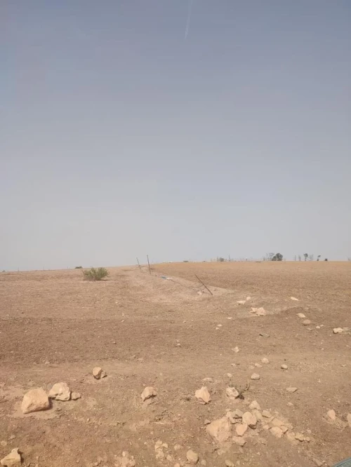 Vente Terrain Tlemcen Ouled riyah
