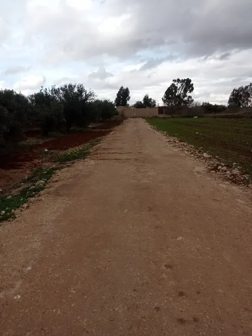 Vente Villa Mostaganem Souaflia