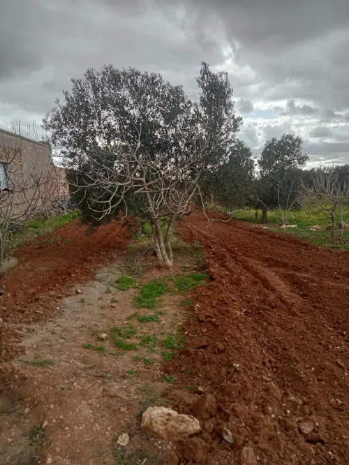 Vente Villa Mostaganem Souaflia
