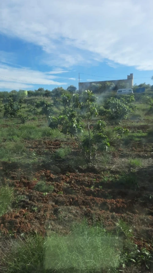 Vente Terrain Agricole Catalogne Catalogne