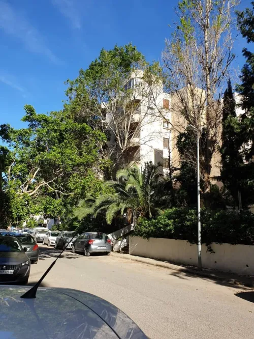 Vente Appartement F3 Alger Ben aknoun