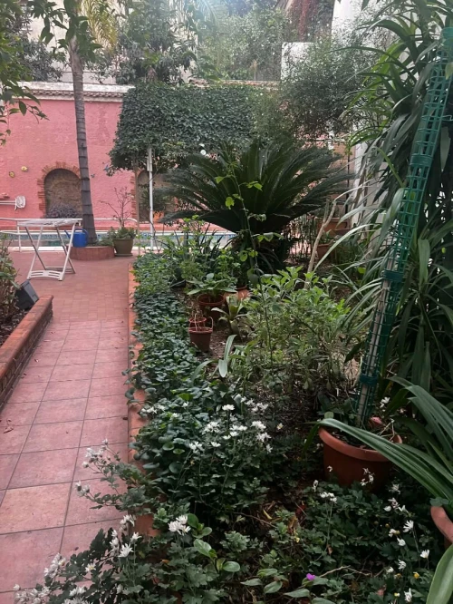 Vente Villa Alger Hydra
