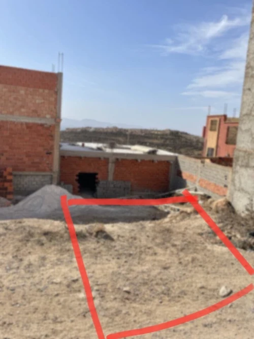 Vente Terrain Tlemcen Marsa ben mhidi