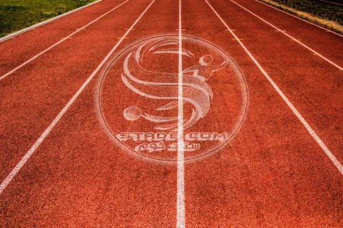 تركيب العشب الاصطناعي وإنجاز الملاعب الرياضية Réalisation des stades de footbal(matico)