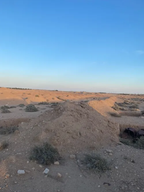 Vente Terrain Biskra El ghrous
