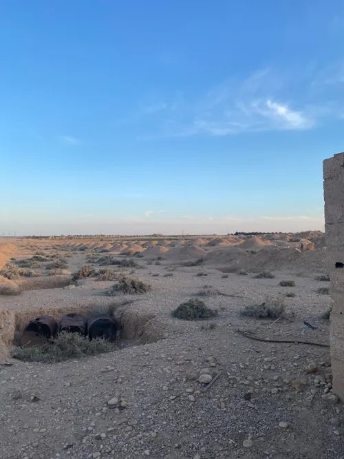 Vente Terrain Biskra El ghrous