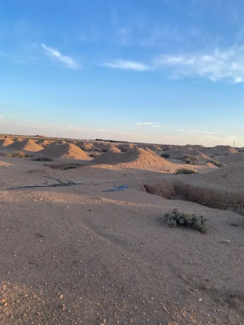 Vente Terrain Biskra El ghrous