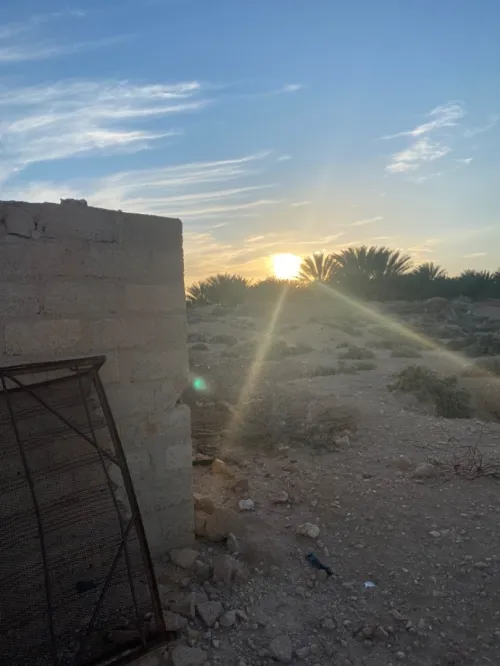 Vente Terrain Biskra El ghrous