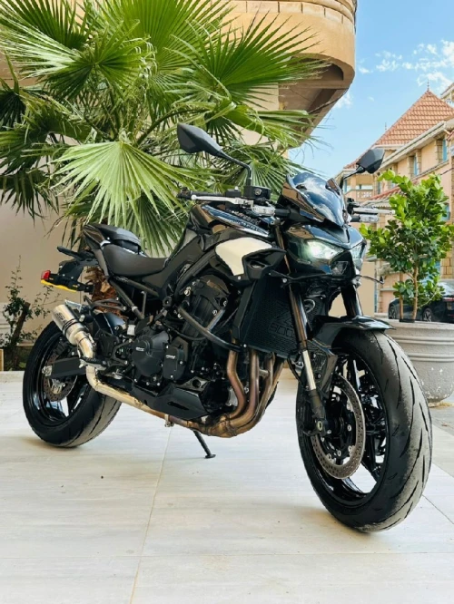 Kawasaki Z900 2025