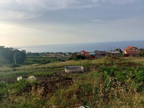 Vente Terrain Boumerdès Afir