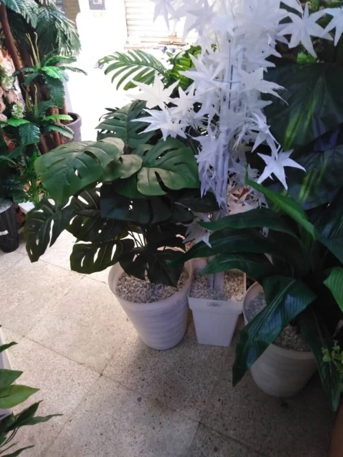 Pots et Plantes Artificielles
