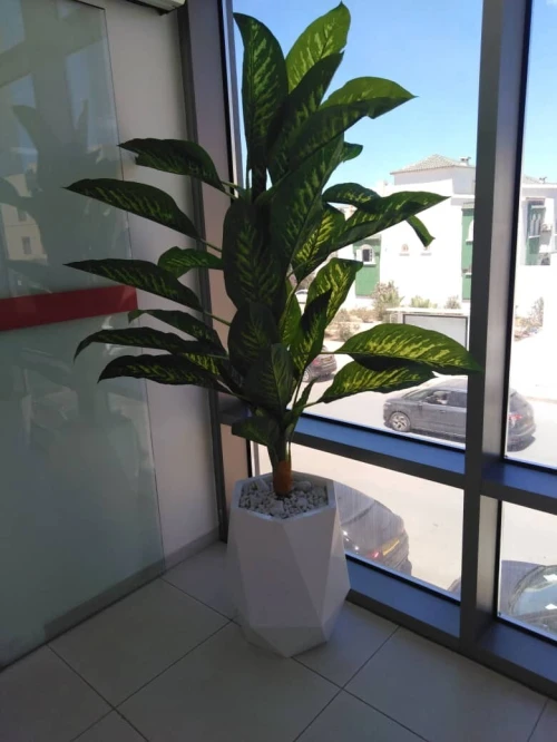 Pots et Plantes Artificielles