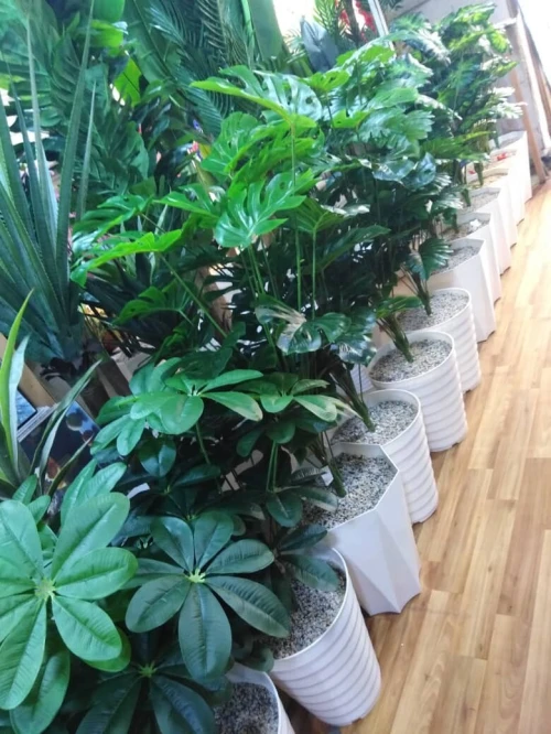 Pots et Plantes Artificielles