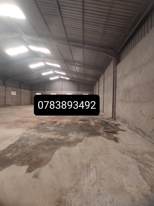 Location Hangar Blida Bouinan
