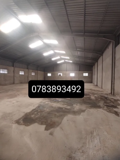 Location Hangar Blida Bouinan