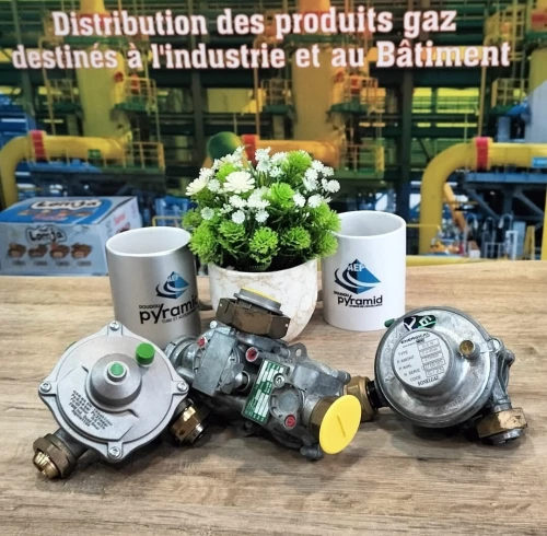 Détendeur de gaz 