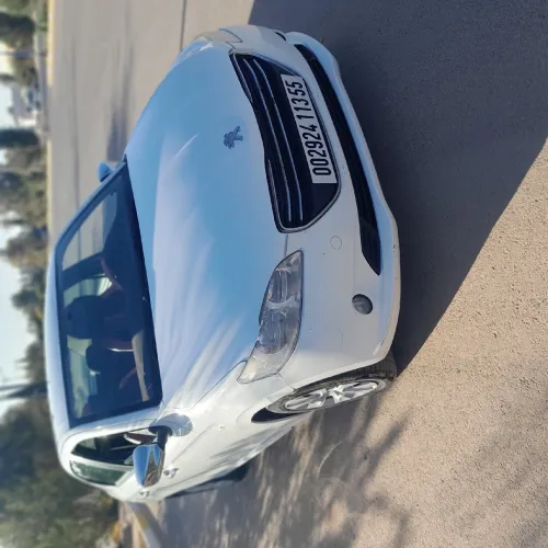 Peugeot 301 2013 301