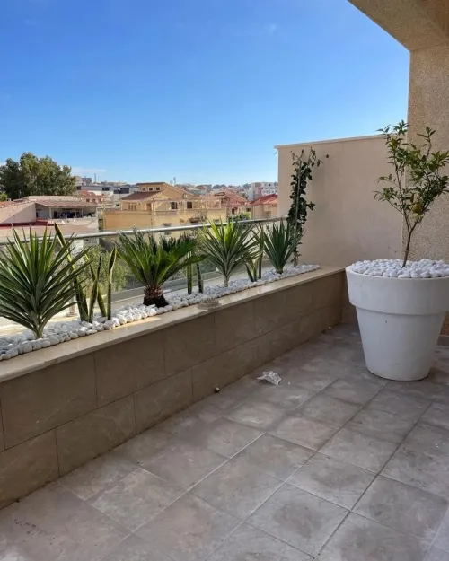 Vente Appartement F4 Alger Cheraga