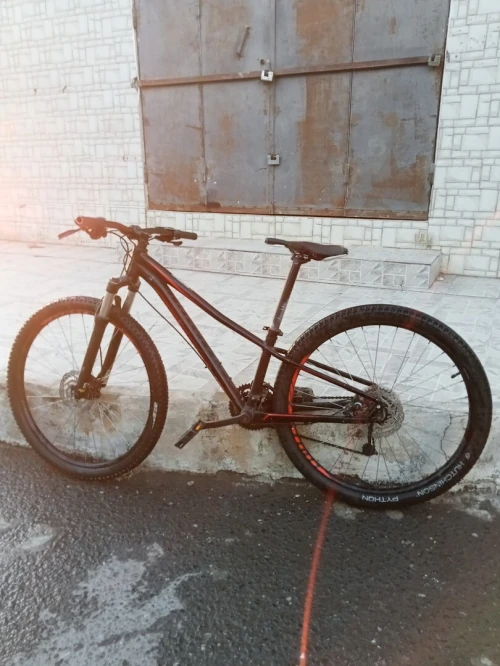Velo specialized