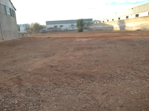 Location Terrain Oran Es senia