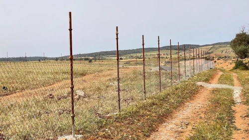 Vente Terrain Agricole Mascara Oggaz
