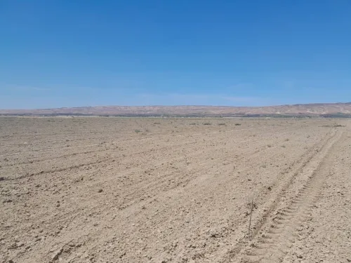 Vente Terrain Agricole Relizane El matmar