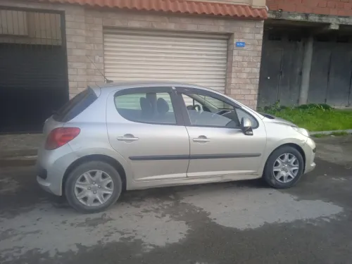 Peugeot 207 2009 Premium