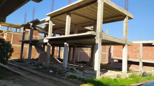Vente Villa Blida Bouarfa