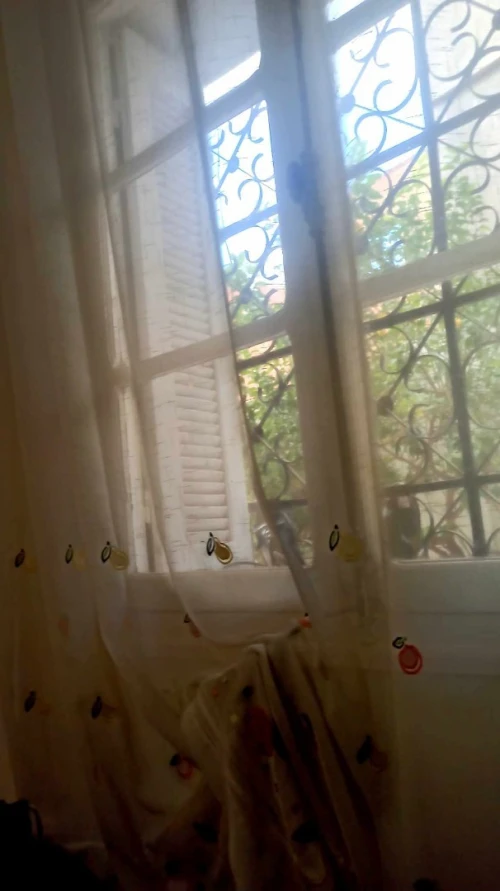 Vente Villa Aïn Defla Khemis miliana