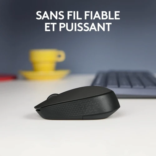 souris sans fil logitech M171