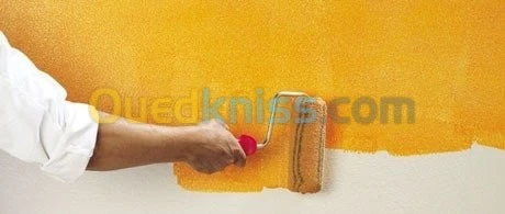 Painter professionnel 