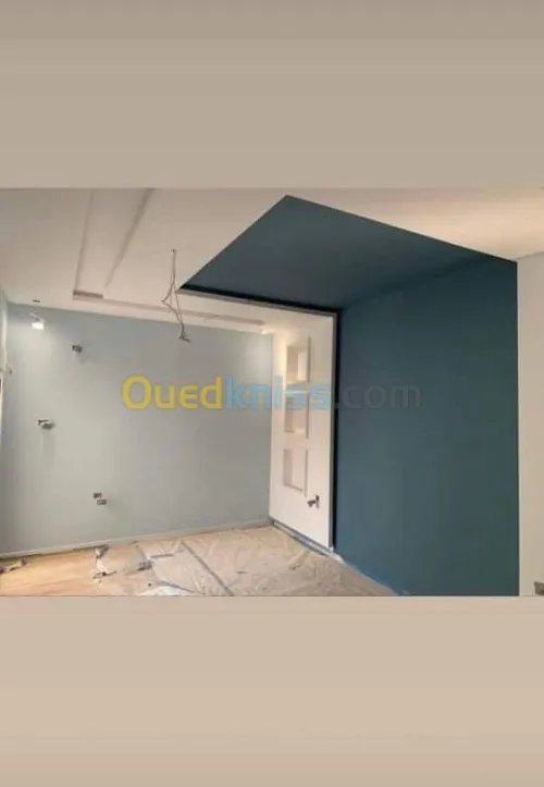 painter professionnel 