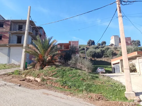 Vente Terrain Boumerdès Larbatache