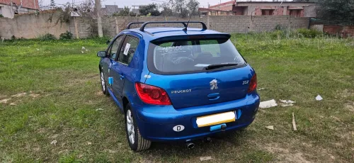 Peugeot 307 2006 Oxygo