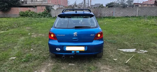 Peugeot 307 2006 Oxygo