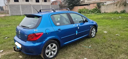 Peugeot 307 2006 Oxygo