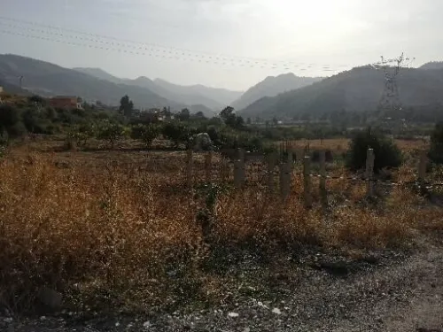 Vente Terrain Blida Bougara