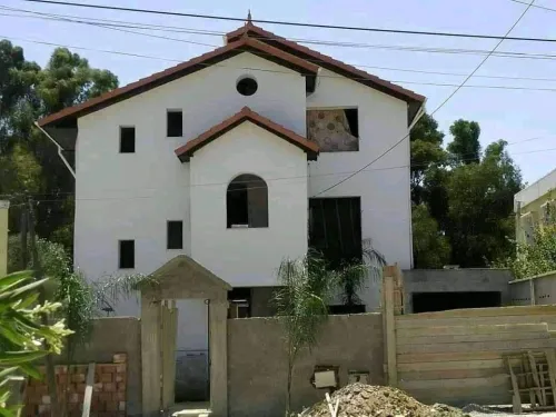 Charpentier  bois Alger 