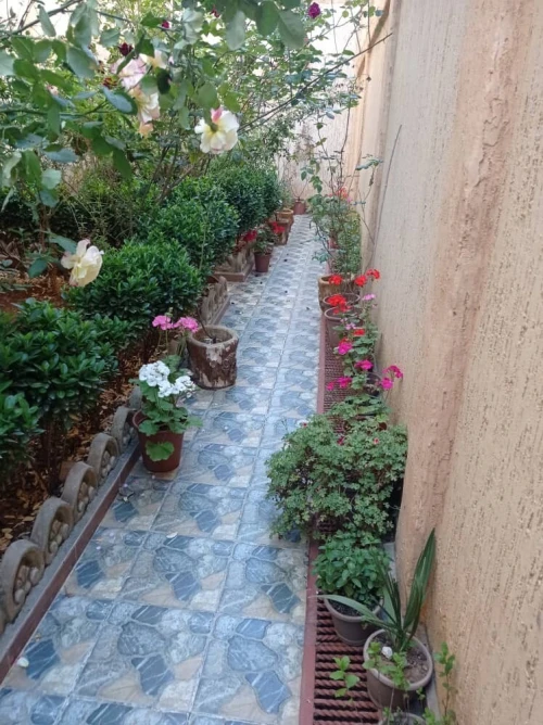 Vente Villa Bouira Bouira