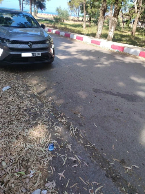 Renault Captur 2026 Techno 