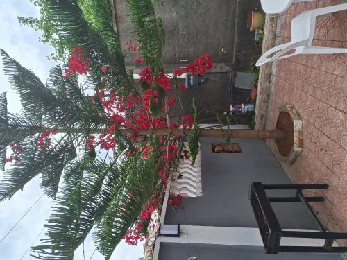 Location Appartement F2 Béjaïa Beni ksila