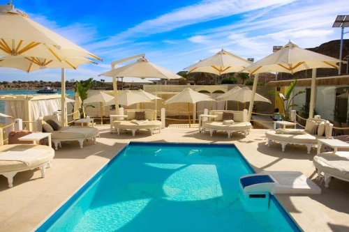 Promo Sharem El Sheikh Hôtel Verginia Sharm & Aqua Park 4* All inclusive 8.500 Da