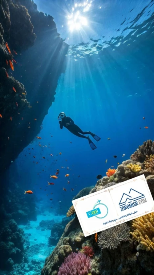 Caire + Sharem El Sheikh en Septembre DELUXE 08 Jours à 255.000 DA رحلة منظمة لالقاهرة + شرم الشيخ