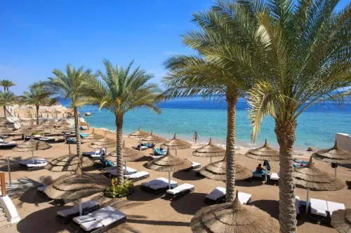Egypte / Sharm El Sheikh la chaîne hôtelière SUNRISE 5* DE LUXE 34.000 Da 