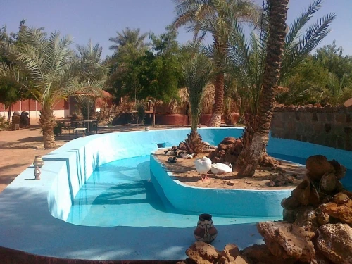 TIMIMOUNE Par Avion en Avril 2026 - Hôtel DJENAN MALEK pour 04 Jours à 62.000 Da رحلة منظمة لتميمون